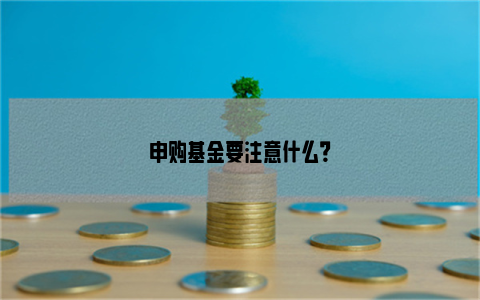 申购基金要注意什么？