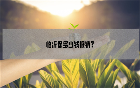 临沂保多少钱报销?