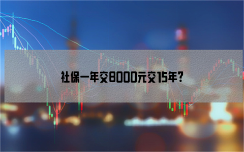 社保一年交8000元交15年?