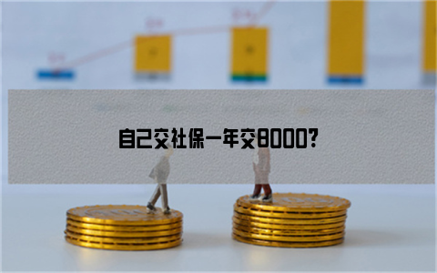 自己交社保一年交8000?