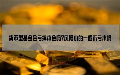 货币型基金会亏掉本金吗？风险小的一般不亏本吗？