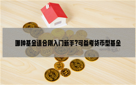 哪种基金适合刚入门新手？可参考货币型基金