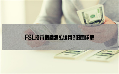 FSL技术指标怎么运用？附图详解