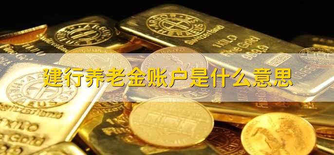 建行养老金账户是什么意思，养老金账户提取的条件