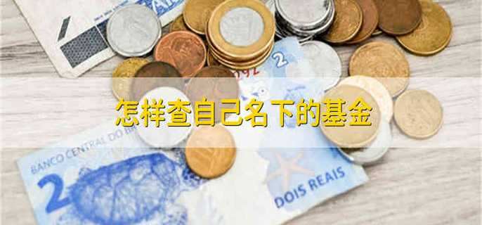 怎样查自己名下的基金