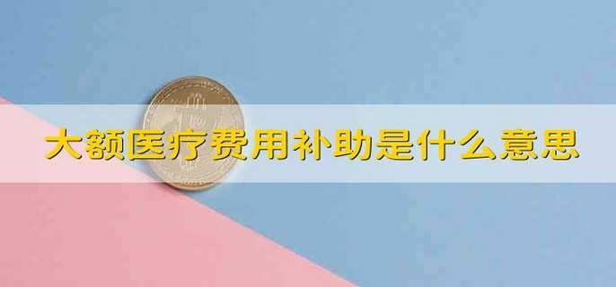 大额医疗费用补助是什么意思