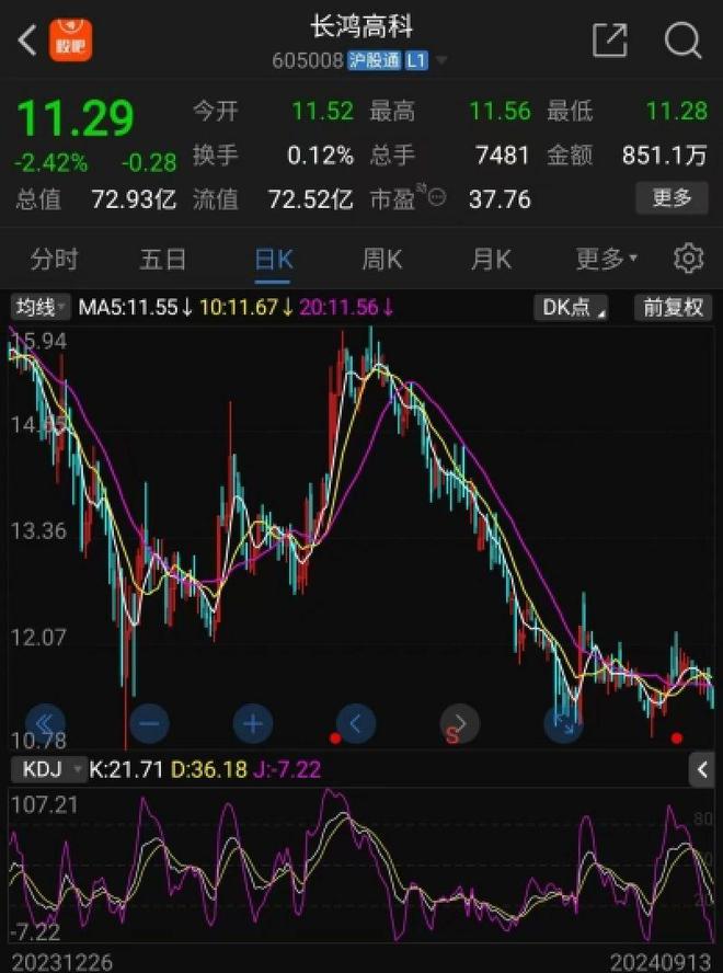 长鸿高科控股股东大手笔减持11.3%股份，嵊州富豪在下哪步资本棋？