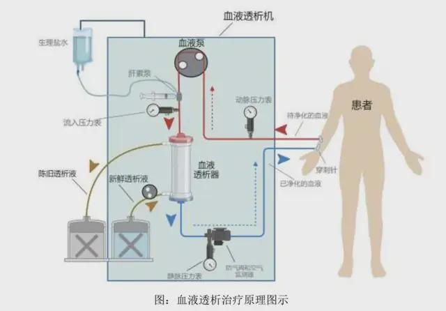 “威海首富”又双叒要IPO敲钟了！