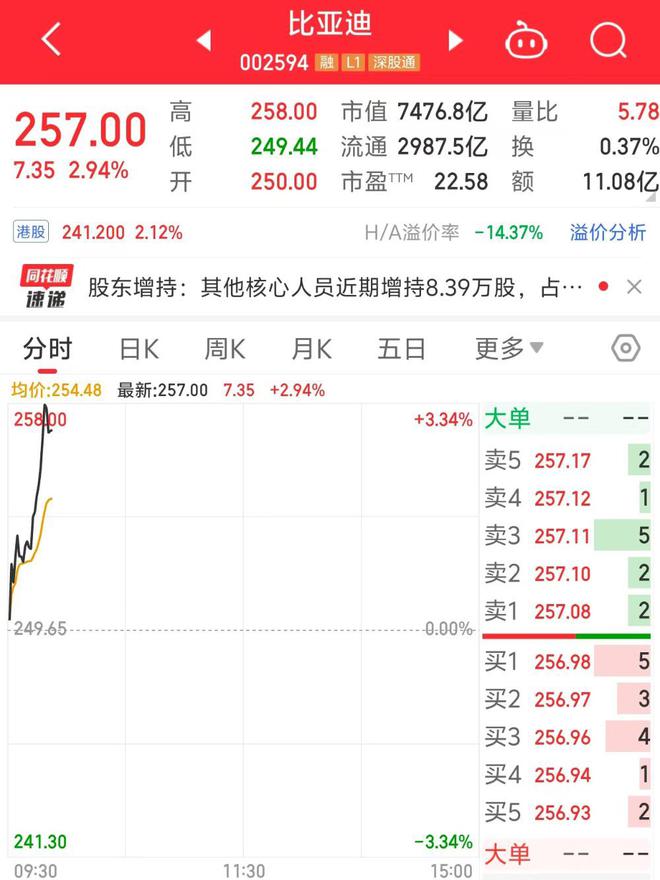 比亚迪高管、核心人员等38人出手增持！合计金额超3500万元