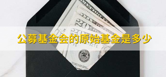 公募基金会的原始基金是多少，取决于多种因素