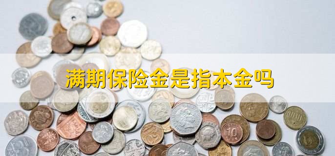 满期保险金是指本金吗