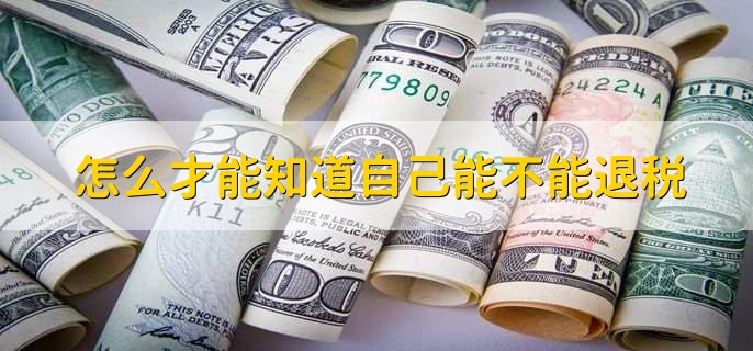 怎么才能知道自己能不能退税，简单四步轻松查看