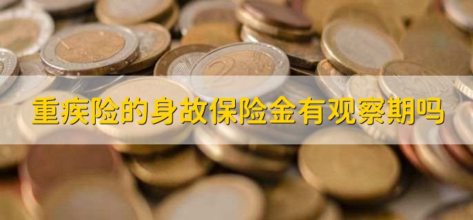 保险金和补助金的区别