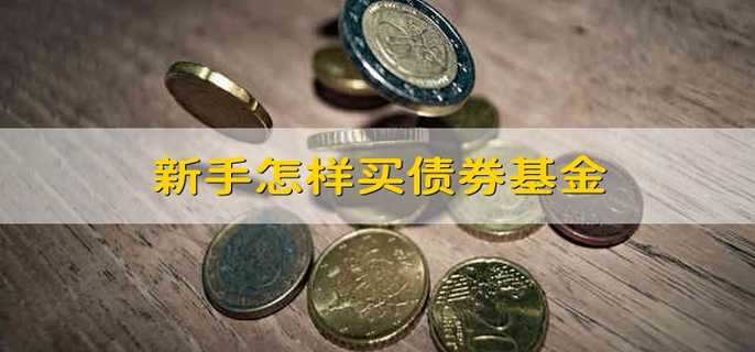 新手怎样买债券基金