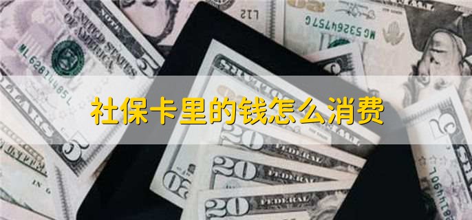 社保卡里的钱怎么消费，分为以下两点