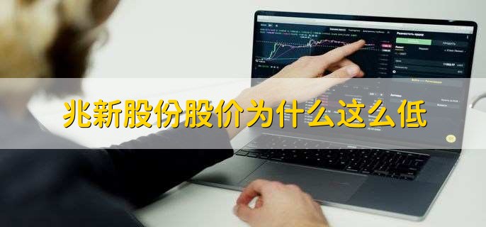 兆新股份股价为什么这么低