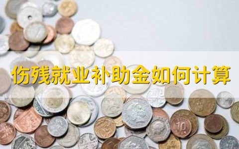 伤残就业补助金如何计算