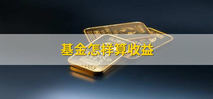 基金怎样算收益，选择基金看什么要素