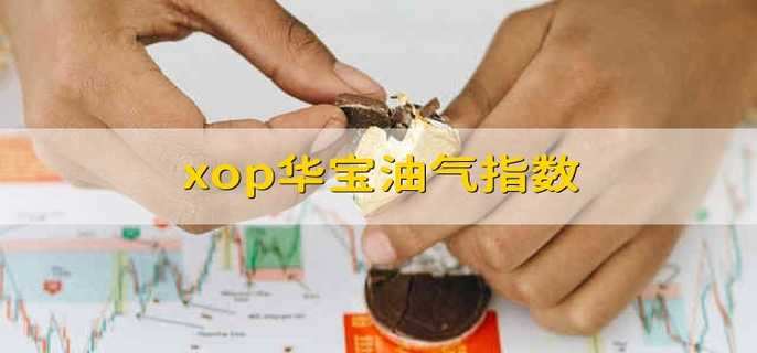 xop华宝油气指数