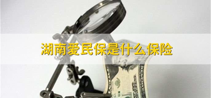 湖南爱民保是什么保险，普惠型补充医疗保险产品