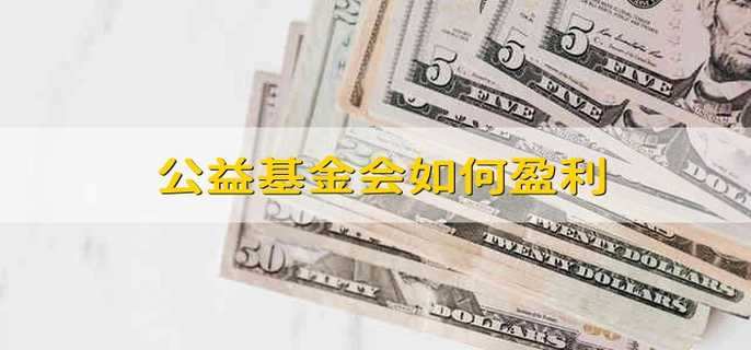 公益基金会如何盈利