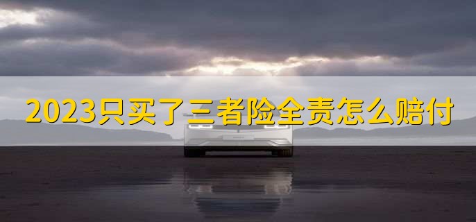 2023只买了三者险全责怎么赔付，买了第三者险用个人出钱吗