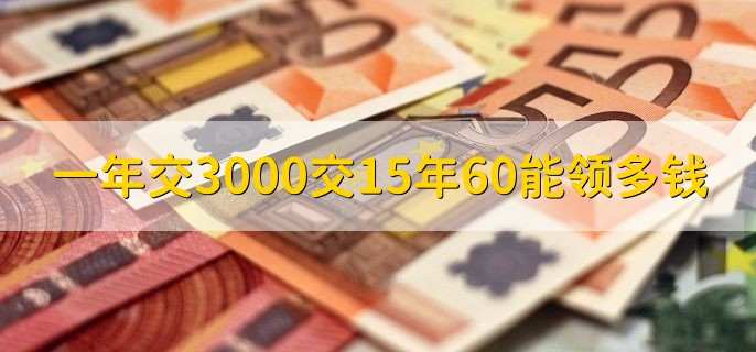 一年交3000交15年60能领多钱，790.54人民币