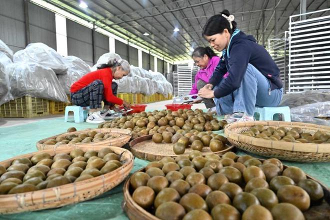 年终盘点｜中医药产业并购重组潮涌动：国资、新势力加速入局，融合发展成关键