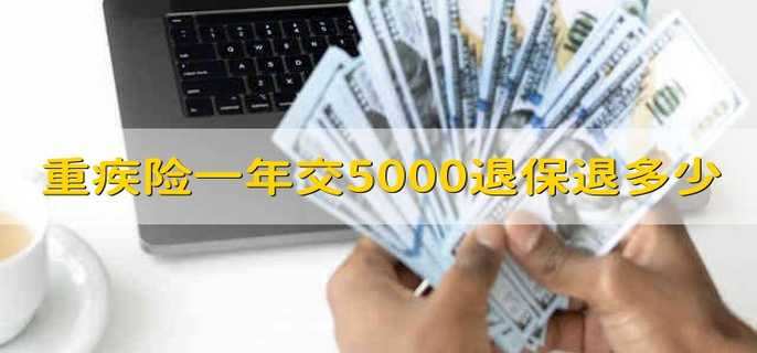 重疾险一年交5000退保退多少