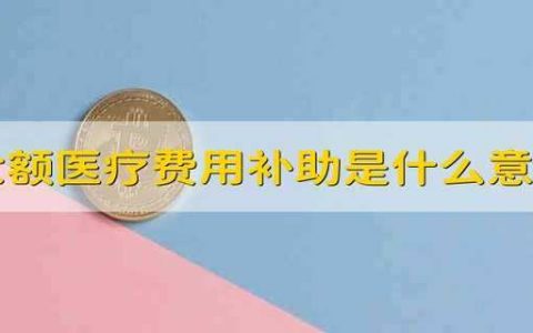 大额医疗费用补助是什么意思