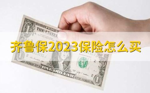 齐鲁保2023保险怎么买